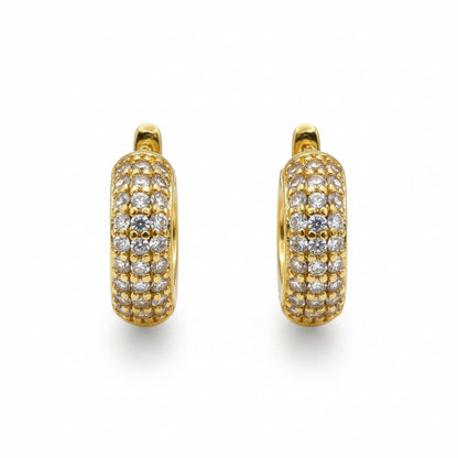 Modern Gold Hoop Earrings with Zircons
